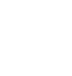 BI